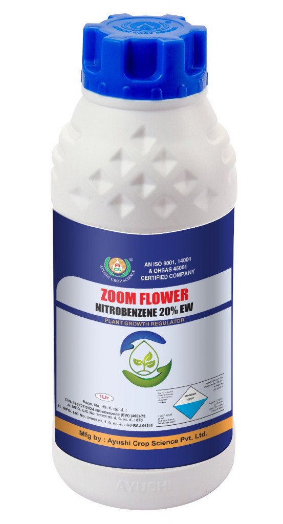 ZOOM FLOWER