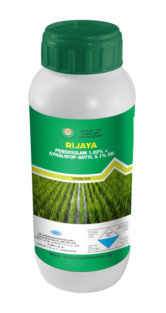 RIJAYA