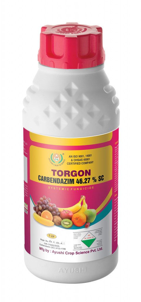 TORGON