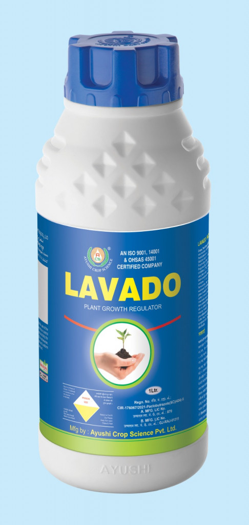 LAVADO